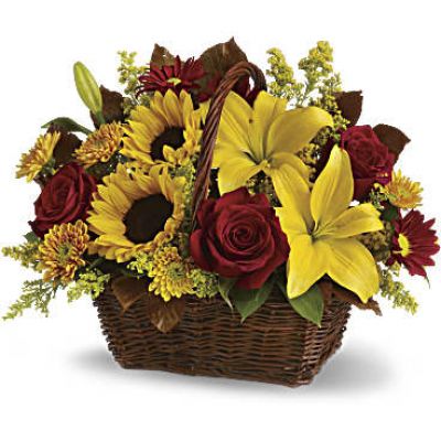 <div id="mark-3" class="m-pdp-tabs-marketing-description">Send warm autumn sunshine to a special friend or relative with this golden gift basket of flowers. Yellow lilies and sunflowers make everyone smile!</div>
<div id="desc-3">
<ul>
 	<li>A dark, handled basket presents bright fall bouquet of yellow asiatic lilies, yellow sunflowers, gold cushion mums, burgundy daisies, yellow solidaster, brown copper beech leaves and rich green salal.</li>
 	<li>Our florists hand-design each arrangement, so colors, varieties and containers may vary due to local availability</li>
</ul>
</div>