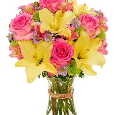 <hr />



<hr />

<strong>Celebrate them with this vibrant mix of colorful flowers, guaranteed to make anyone smile with delight as you wish them happy birthday.</strong>
<ul>
 	<li>Our florists hand-design each arrangement, so colors, varieties and containers may vary due to local availability</li>
</ul>