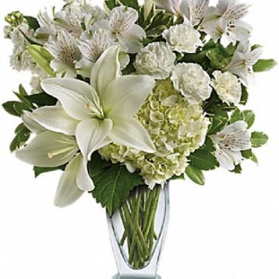 <div class="m-pdp-tabs-description">
<div id="mark-1" class="m-pdp-tabs-marketing-description">Who's the fairest of them all? This snow-white bouquet. A stunning statement of your purest love, this mix of hydrangea and lilies in a glass vase will take their heart away.</div>
</div>
<ul>
 	<li>Our florists hand-design each arrangement, so colors, varieties and containers may vary due to local availability</li>
</ul>
