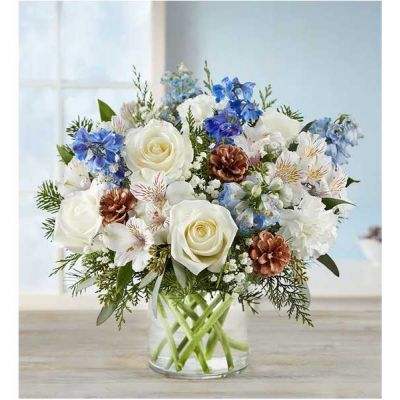Inspired by winter’s cool blue & white landscape, our delightful arrangement delivers warm wishes to the people you love. Hand-designed with a lush gathering of blooms, evergreens and rustic touches, it’s a thoughtful sentiment filled with the season’s natural beauty.
<ul>
 	<li>All-around arrangement with white roses, carnations and Peruvian lilies (alstroemeria); blue delphinium; accented with baby’s breath, seeded eucalyptus, assorted Christmas greenery and pinecones</li>
 	<li>Artistically designed in a clear glass cylinder vase</li>
 	<li>Large arrangement measures approximately 15"H x 13"W</li>
 	<li>Medium arrangement measures approximately 13"H x 12"W</li>
 	<li>Small arrangement measures approximately 12"H x 9"W</li>
 	<li>Our florists hand-design each arrangement, so colors, varieties and container may vary due to local availability</li>
 	<li>To ensure lasting beauty, Peruvian lilies may arrive in bud form and will fully bloom over the next few days</li>
 	<li>Our florists hand-design each arrangement, so colors, varieties and containers may vary due to local availability</li>
</ul>