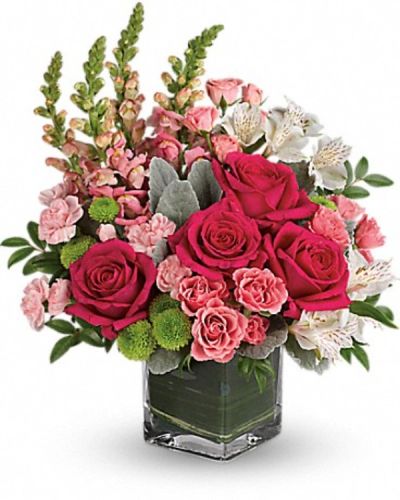 <div class="m-pdp-tabs-description">
<div id="mark-3" class="m-pdp-tabs-marketing-description">Fun and feminine, this hot pink bouquet is reminiscent of a spring garden party with friends! Stunning roses, delicate alstroemeria and dramatic snapdragons are hand-delivered in a classic cube vase lined with a green leaf - a surprise gift that'll touch her heart, no matter the occasion.</div>
</div>
Hot pink roses, pink spray roses, white alstroemeria, pink miniature carnations, green button spray chrysanthemums and pink snapdragons are arranged with dusty miller, huckleberry and variegated aspidistra leaf. Delivered in a clear cube vase.
<ul>
 	<li>Our florists hand-design each arrangement, so colors, varieties and containers may vary due to local availability</li>
</ul>