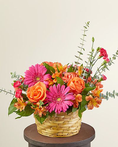 <h5>Celebrate spring with our Sweet Treat Bouquet that arrives in an adorable basket ready for the spotlight. Designed with hot pink gerbera daisies and mini carnations to brighten any room, occasion or event, it's the sweetest treat you could send to a loved one.</h5>
<ul>
 	<li>Our florists hand-design each arrangement, so colors, varieties and containers may vary due to local availability</li>
</ul>