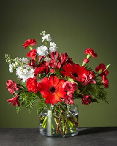 <div class="row">
<div class="truncated">

The Big Red Bow bouquet will add the perfect finishing touch to any room's holiday décor. Let the cherry red gerbera daises steal the show while the white stock adds balance and softens the vibrant arrangement.
<ul>
 	<li>Our florists hand-design each arrangement, so colors, varieties and containers may vary due to local availability</li>
</ul>
</div>
</div>
<div id="accordion-container" class="product-detail-step-one product-page">
<div id="accordion" class="panel-group">
<div class="panel panel-default">
<div class="panel-heading">
<h4 class="panel-title"></h4>
</div>
</div>
</div>
</div>