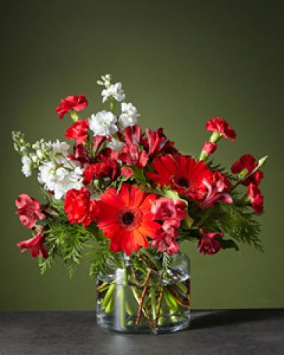 <div class="row">
<div class="truncated">

The Big Red Bow bouquet will add the perfect finishing touch to any room's holiday décor. Let the cherry red gerbera daises steal the show while the white stock adds balance and softens the vibrant arrangement.
<ul>
 	<li>Our florists hand-design each arrangement, so colors, varieties and containers may vary due to local availability</li>
</ul>
</div>
</div>
<div id="accordion-container" class="product-detail-step-one product-page">
<div id="accordion" class="panel-group">
<div class="panel panel-default">
<div class="panel-heading">
<h4 class="panel-title"></h4>
</div>
</div>
</div>
</div>