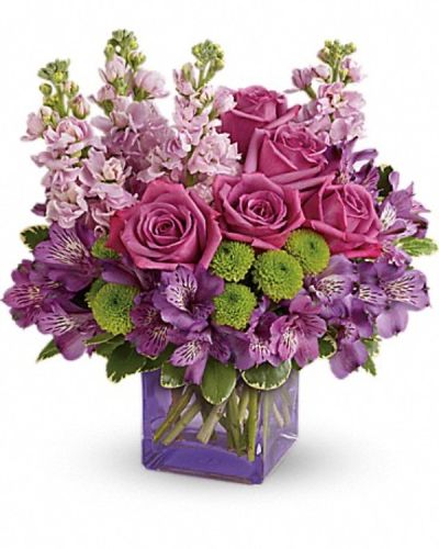 <div class="m-pdp-tabs-description">
<div id="mark-3" class="m-pdp-tabs-marketing-description">Sweet as can be! Hand-delivered in a chic lavender cube, this marvelous mix of jewel toned blooms is a touching way to celebrate someone special on their birthday or any day.</div>
</div>
Lavender roses, purple alstroemeria, light pink stock and green button spray chrysanthemums are accented with variegated pittosporum.
<ul>
 	<li>Our florists hand-design each arrangement, so colors, varieties and containers may vary due to local availability</li>
</ul>