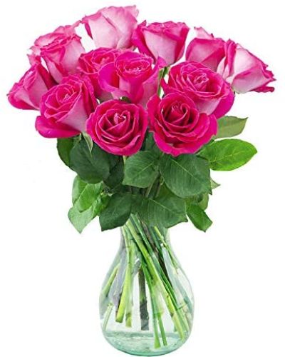 **Picture for example purposes only.  Please select rose count you wish to purchase.

Surprise your special one with this gorgeous arrangement of hot pink roses available in three roses to three dozen wonderful blooms.

It’s an unforgettable display of your timeless love that they'll always remember.
<ul>
 	<li>Our florists hand-design each arrangement, so colors, varieties and containers may vary due to local availability</li>
</ul>