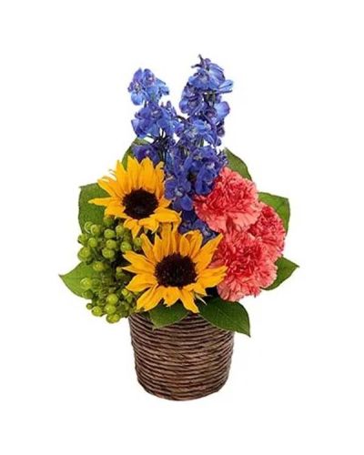Bold & Beautiful sunflowers capture immediate attention in this imaginatively designed bouquet. Lovely blue delphinium, orange carnations and green hypericum augment the sunny design all brought together in a dark brown basket.
<ul>
 	<li>Our florists hand-design each arrangement, so colors, varieties and containers may vary due to local availability</li>
</ul>