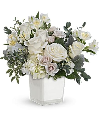 <div id="mark-3" class="m-pdp-tabs-marketing-description">As serene as soft white clouds floating in a crisp blue sky, this elegant white rose bouquet in a simple glass cube brings peace and beauty to any occasion.</div>
<div id="desc-3">
This peaceful arrangement includes white hydrangea, white roses, white spray roses, white alstroemeria, dusty miller, white limonium, parvifolia eucalyptus and pitta Negra.
<ul>
<li>Our florists hand-design each arrangement, so colors, varieties and container may vary due to local availability</li>
</ul>
</div>