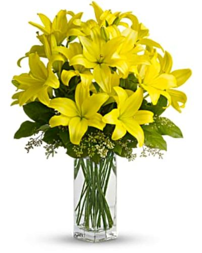 <div id="mark-3" class="m-pdp-tabs-marketing-description">When it comes to spring flowers, the lily reigns supreme. It's easy to see why in this gorgeous bouquet of bright yellow blooms.</div>
<div id="desc-3">
<ul>
 	<li>A fabulous bouquet of yellow asiatic lilies, salal and seeded eucalyptus are delivered in a glass vase.</li>
 	<li>Our florists hand-design each arrangement, so colors, varieties and containers may vary due to local availability</li>
</ul>
</div>