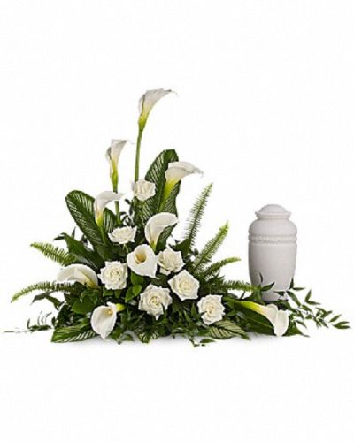 <div class="m-pdp-tabs-description">
<div id="mark-1" class="m-pdp-tabs-marketing-description">A calming portrait in ivory. Majestic calla lilies and stately white roses are framed by the lush leaves of aspidistra and calathea. Soft green sword fern adds to the soothing tones.</div>
</div>
<p id="arrngDescp">Large white calla lilies pair with white roses and lush greens that include soft, airy sword fern and glossy aspidistra.</p>

<ul>
 	<li>Please note: Arrangement does not include urn.</li>
 	<li>Our florists hand-design each arrangement, so colors, varieties and containers may vary due to local availability</li>
</ul>