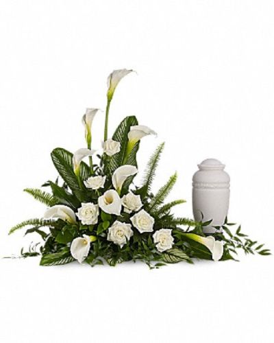 <div class="m-pdp-tabs-description">
<div id="mark-1" class="m-pdp-tabs-marketing-description">A calming portrait in ivory. Majestic calla lilies and stately white roses are framed by the lush leaves of aspidistra and calathea. Soft green sword fern adds to the soothing tones.</div>
</div>
<p id="arrngDescp">Large white calla lilies pair with white roses and lush greens that include soft, airy sword fern and glossy aspidistra.</p>

<ul>
 	<li>Please note: Arrangement does not include urn.</li>
 	<li>Our florists hand-design each arrangement, so colors, varieties and containers may vary due to local availability</li>
</ul>