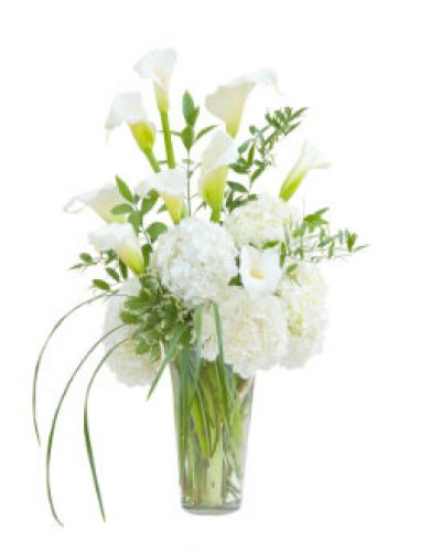 Wow them with this elegant vase featuring calla lilies, hydrangea, and premium foliage.
<ul>
 	<li>Our florists hand-design each arrangement, so colors, varieties and containers may vary due to local availability</li>
</ul>