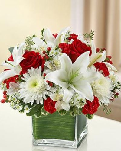 Healing Hope Red and White is a perfect way to show you care.
<ul>
 	<li>Our florists hand-design each arrangement, so colors, varieties and containers may vary due to local availability</li>
</ul>