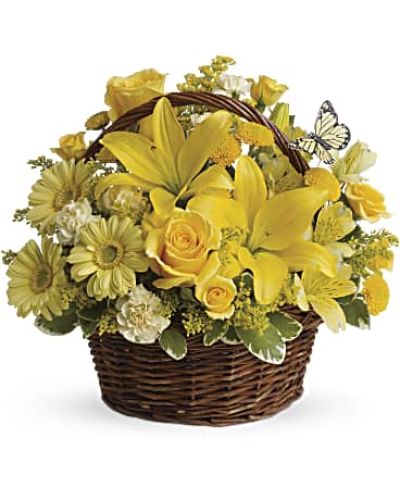 <div class="m-pdp-tabs-description">
<div id="mark-1" class="m-pdp-tabs-marketing-description">Wishes do come true, by the basketful, actually. This delightful arrangement is so full of sunny blossoms, it even includes a pretty yellow butterfly who obviously feels right at home, basking in the warmth.</div>
</div>
Brilliant yellow spray roses, asiatic lilies, miniature gerberas, carnations, alstroemeria, button spray chrysanthemums and delightful greenery are joined by a delicate butterfly in an oval basket. It's a basket of wonder and wishes!
<ul>
 	<li>Our florists hand-design each arrangement, so colors, varieties and containers may vary due to local availability</li>
</ul>