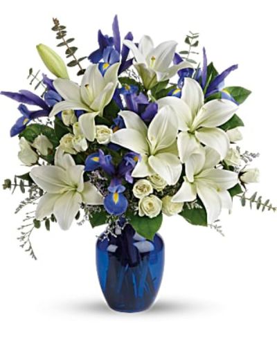 <div class="m-pdp-tabs-description">
<div id="mark-2" class="m-pdp-tabs-marketing-description">As open and bright as a winter's sky, this exquisite mix of white and blue blossoms would make a stunning birthday gift, or a superb Hanukah present for a favorite friend or family member. An eye-catching selection.</div>
</div>
White Asiatic lilies, white spray roses and dark blue iris - accented with greenery - are delivered in a glass vase.
<ul>
 	<li>Our florists hand-design each arrangement, so colors, varieties and containers may vary due to local availability</li>
</ul>