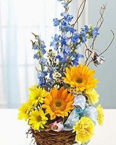 Capture their inner nesting instinct with this Welcome to the World Arrangement sure to delight the new parents. A charming bird's nest basket is filled with a beautiful baby blue and yellow-themed arrangement of delphinium, sunflowers, carnations and daisy poms. This arrangement comes accented with a beautiful blue polka dot ribbon and a pair of playful bird picks.
<ul>
 	<li>Our florists hand-design each arrangement, so colors, varieties and containers may vary due to local availability</li>
</ul>