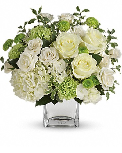 <div class="m-pdp-tabs-description">
<div id="mark-1" class="m-pdp-tabs-marketing-description">Let your love shine! No matter the recipient or the occasion, this stunning monochromatic mix of hydrangea and roses, hand-delivered in a silver cube, is destined to delight and inspire.</div>
</div>
This bouquet of blooms includes white hydrangea, white roses, white spray roses, green carnations, green button spray chrysanthemums and pitta negra.
<ul>
 	<li>Our florists hand-design each arrangement, so colors, varieties and container may vary due to local availability</li>
</ul>