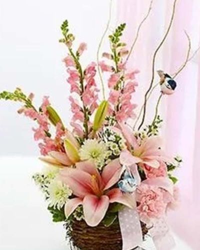 Capture their inner nesting instinct with this Welcome to the World Arrangement sure to delight the new parents. A charming bird's nest basket is filled with a gorgeous arrangement of lilies, snapdragons, carnations and more designed in a charming bird's nest basket and accented with stylish ribbon and a pair of playful bird picks.
<ul>
 	<li>Our florists hand-design each arrangement, so colors, varieties and containers may vary due to local availability</li>
</ul>
